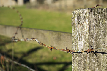 Image showing Barbed wire