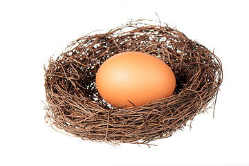 Image showing Bird's nest with an egg