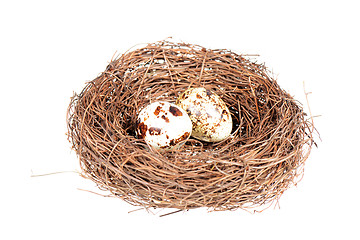 Image showing Bird's nest with two eggs