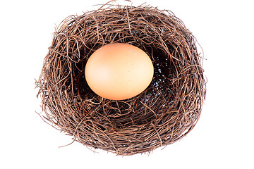 Image showing Bird's nest and egg