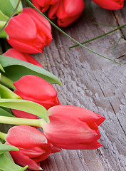 Image showing Spring Tulips