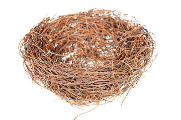 Image showing Bird's nest 
