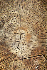 Image showing Wooden background