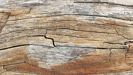 Image showing Wooden texture