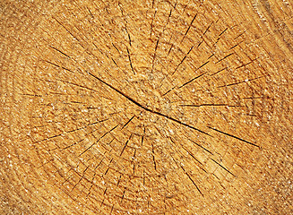 Image showing  Wooden textured