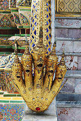 Image showing Gold hand