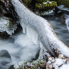 Image showing Frozen icicles on water flow