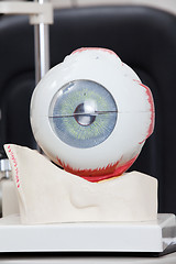 Image showing Medical Eye Model