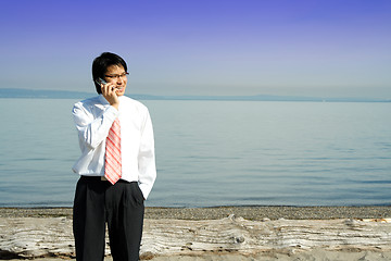 Image showing Businessman on the phone