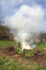 Image showing Fire on the lawn