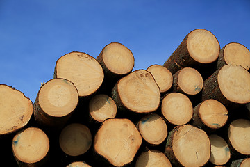 Image showing Timber Logs and Blue Sky