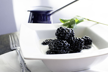 Image showing Bowl of fresh blackberries and milk.