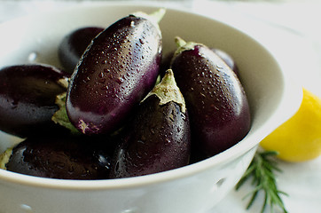 Image showing Indian Eggplant