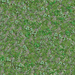 Image showing Spring Meadows Surface. Seamless Tileable Texture.