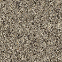 Image showing Elm Bark. Seamless Tileable Texture.