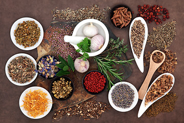 Image showing Herbal Wellness