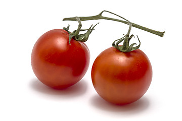 Image showing Eco Tomatoes