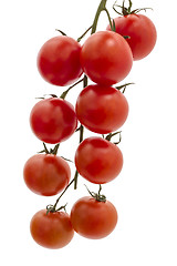 Image showing Eco Tomatoes