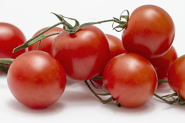 Image showing Eco Tomatoes