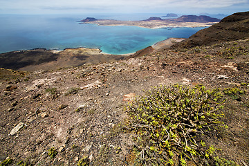 Image showing flower miramar del rio harbor 