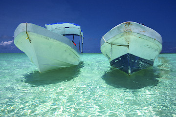 Image showing  tent in the  blue lagoon relax   boat   sian kaan in mexico