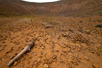 Image showing wood plant  bush  volcanic rock stone sky  hill and summer  