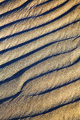 Image showing lanzarote spain  ground sand dry and lichens 