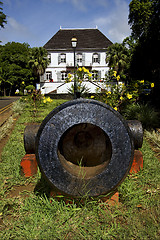 Image showing mauritius  naval museum flower and bush