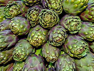 Image showing Artichoke