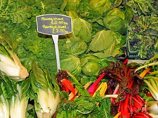 Image showing Chard rhubarb