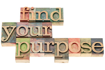 Image showing find your purpose in wood type