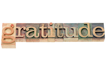 Image showing gratitude word in wood type