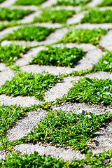 Image showing stone block walk path with green grass