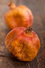 Image showing dry and old pomegranates 