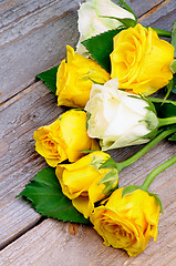 Image showing Sunny Roses