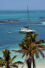 Image showing costline boat catamaran in the  blue lagoon relax  of   mexico