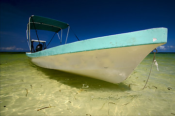 Image showing palm  the  lagoon relax and boat   of sian kaan in mexico