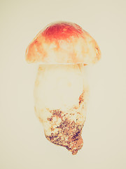 Image showing Retro look Porcini Mushroom