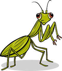 Image showing mantis insect cartoon illustration