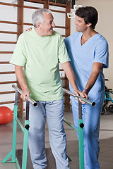 Image showing Senior Man having ambulatory therapy