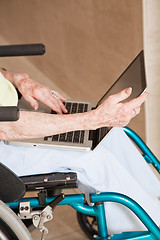 Image showing Woman on Wheelchair Using Laptop