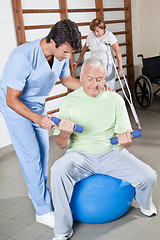 Image showing Physical Therapist helping a Patient