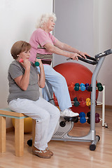 Image showing Females Doing Physical Exercise