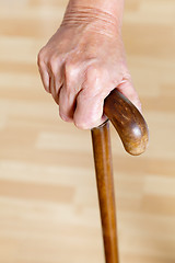 Image showing Hand Holding Wooden Walking Stick