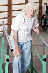 Image showing Senior Woman having ambulatory therapy