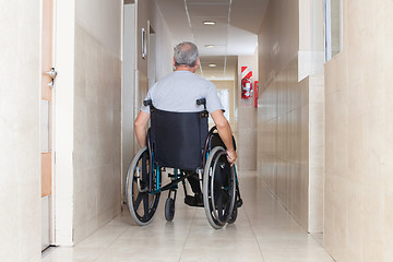 Image showing Senior Man Sitting In a Wheelchair