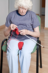 Image showing Senior Woman Knitting