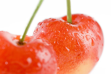 Image showing Sweet Cherry