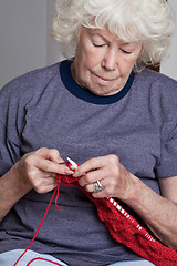 Image showing Senior Woman Knitting