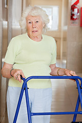 Image showing Senior Woman Using Zimmer Frame